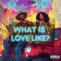 what is love like? (Explicit)