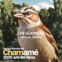 Los Güepa Che en Avio del Alma: Fiesta Nacional del Chamamé 2025 (En Vivo)