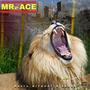 Rasta Without A Pause