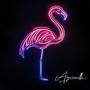 Flamingo (Reimagined)