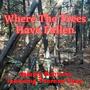 Where The Trees Have Fallen (feat. Theresa Ryan)