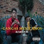 Gangas Mexicanos