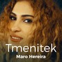 Tmenitek