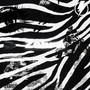 Zebra (Explicit)