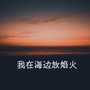 我在海边放焰火