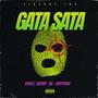 Gata Sata (feat. Nx Diseñando Letra & JhoyKing)