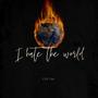 I hate the world (Explicit)