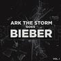 Ark The Storm Goes Bieber