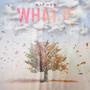 What If (Explicit)