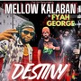 Destiny (feat. Fyah George)