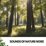 Sonidos Naturales y Ruido: Armonía en la Naturaleza