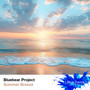 Summer Breeze (Extended Mix)