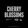 Cherry Blossoms