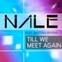 Till We Meet Again (Remixes)