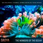 The Wonders of the Ocean