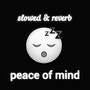 Peace of Mind (Slowed and Reverb)