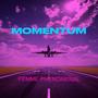 Momentum