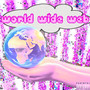 WORLD WIDE WEB (Explicit)