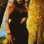СЭР (Explicit)