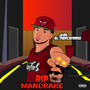 Rip Mandrake (Explicit)