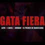 Gata Fiera