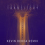 Transitory Afternoon (Pioneer Material) (Kevin Ochoa Remix)