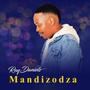 Mandizodza