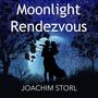 Moonlight Rendezvous