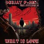 What Is Love (feat. Steve Walker)