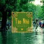 Táo Nhỏ