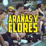 Arañas y flores