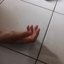 Ubur-ubur ikan lele