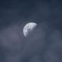 Transient Moonlight EP