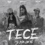 T.e.c.e (feat. Akpein & Franihop)
