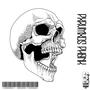 SHAMAN BREAK MIX 95 (Explicit)