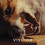 'Visitor' (Original Soundtrack)