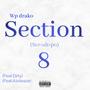 Section 8 (Explicit)