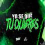 Yo Se Que Tu Quieres