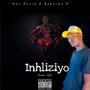 Inhliziyo