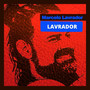 Lavrador