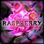 Raspberries (ZHI16 Remix)