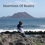 Insertions Of Reality