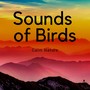 Sounds of Birds - New Age Meditation Music, Calm Nature, Serenity Instrumental Songs and Ocean Waves