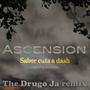 Ascension (feat. Dorothea) [Drugo Ja Remix]