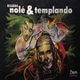 Ricardo Nolé & Templando