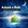 Ashaab E Nabi