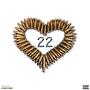 22 Questions (Explicit)