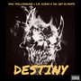 Destiny (feat. Lil Ocean & Del Rey Eliante) [Explicit]