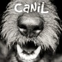 Canil - Single