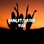 Damlot/Kri100-VIXA